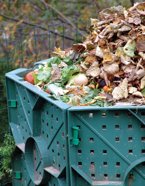 Autumn: Love It & Leaf It