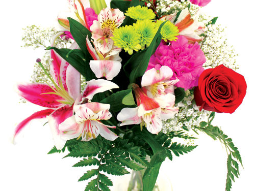 Budget Bouquets