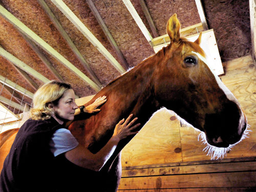 Pet Pampering Prospers Despite the Recession