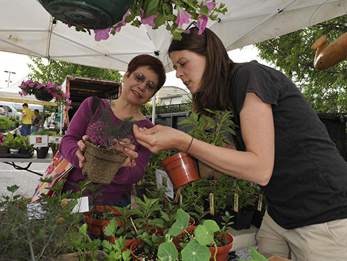 Connecting the Needy with Fresh, Healthy Produce