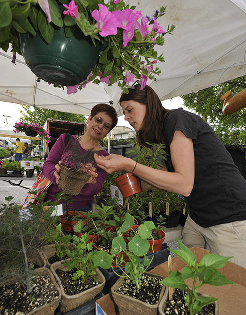 Connecting the Needy with Fresh, Healthy Produce