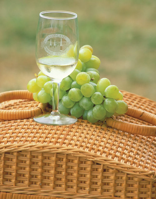 Wining Wisely: A Practical Guide to the Wine Festival