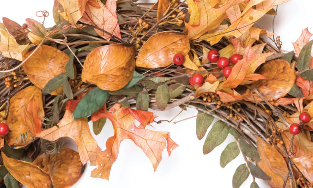“Leaf It To Me” What to do with Fallen Leaves