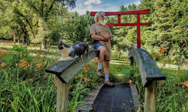 Local  Artists  Open  Their Studios