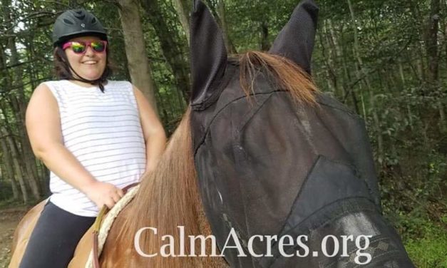 The Horse as the Wellness Partner