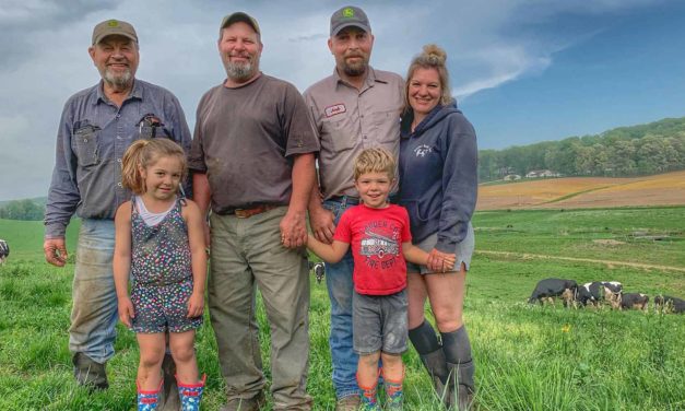 Down on the Family Farm
