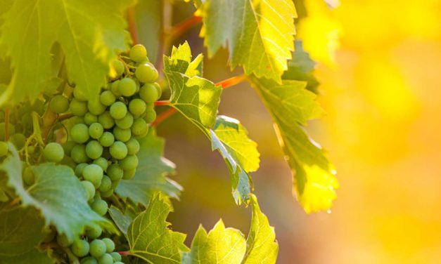 Currents August/September 2019