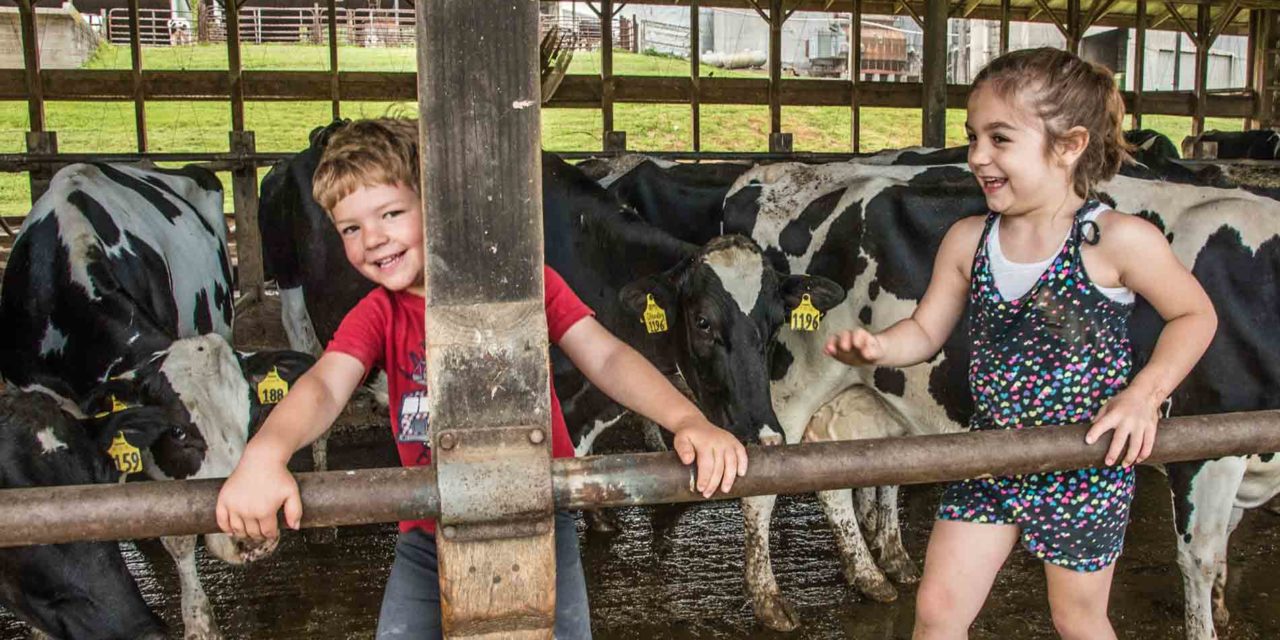 The Photo Issue: Carroll Life in Focus