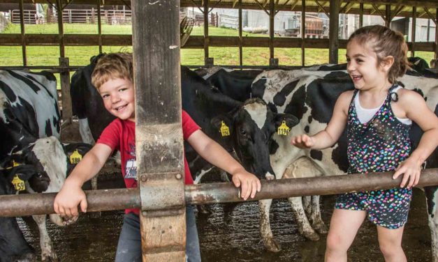The Photo Issue: Carroll Life in Focus