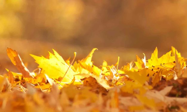 Currents October/November 2019