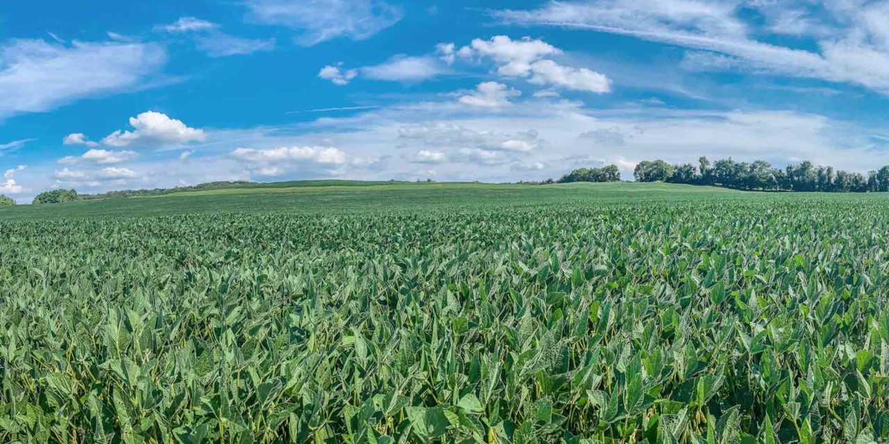 Agriculture