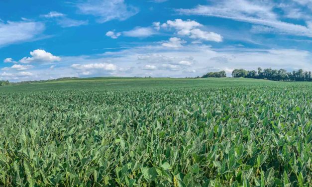 Agriculture