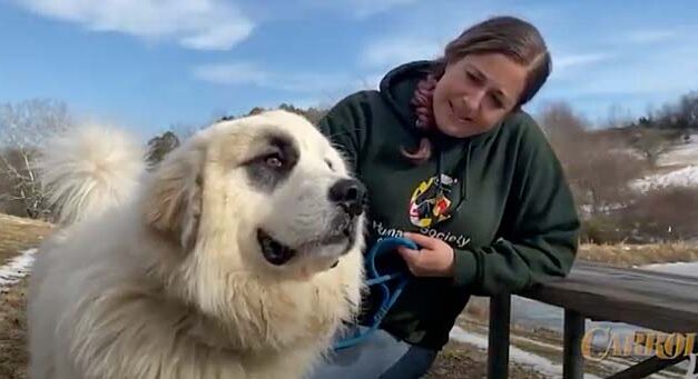 Episode 2: The Humane Society