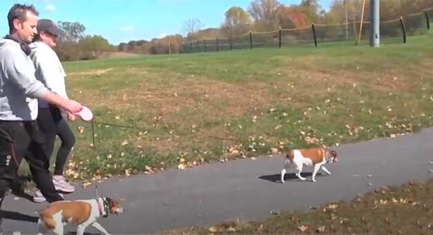 Episode 14: Dog Walking
